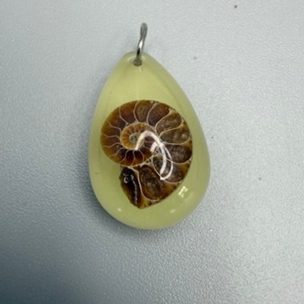 Ammonite Fossil in Clear Resin Teardrop Pendant Suspended